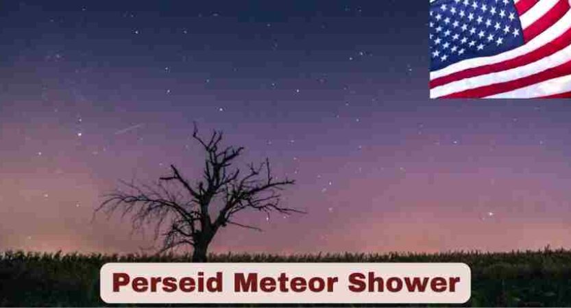 Perseid Meteor Shower | Facts, Peak Time & Dates, Tips, Forecast