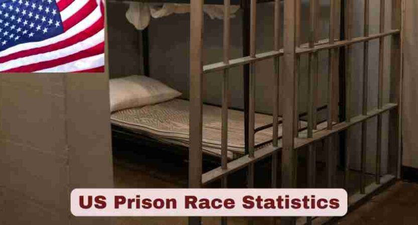 US Prison Race Statistics 2025 | Facts About US Prison Race