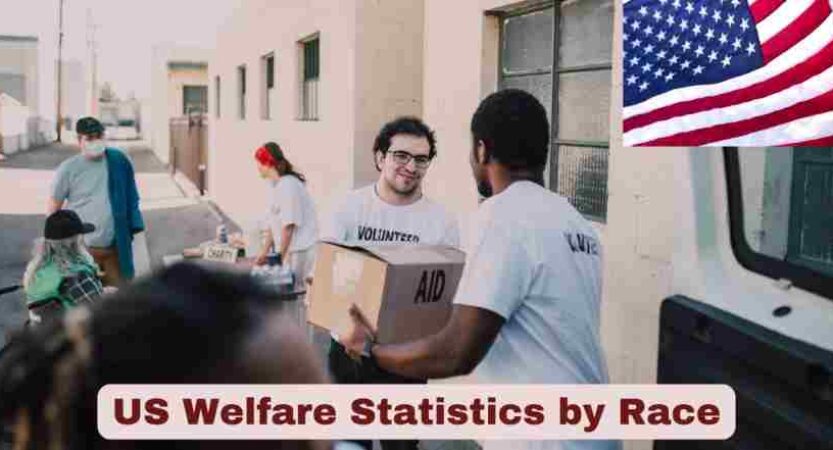 US Welfare Statistics by Race 2025 | Facts About US Welfare