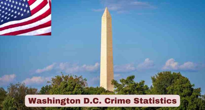D.C. Crime Statistics 2025 | Official White House Data & Facts