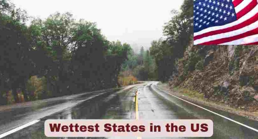 Wettest States in US 2025 | Top 20 Stats & Facts About Wettest States