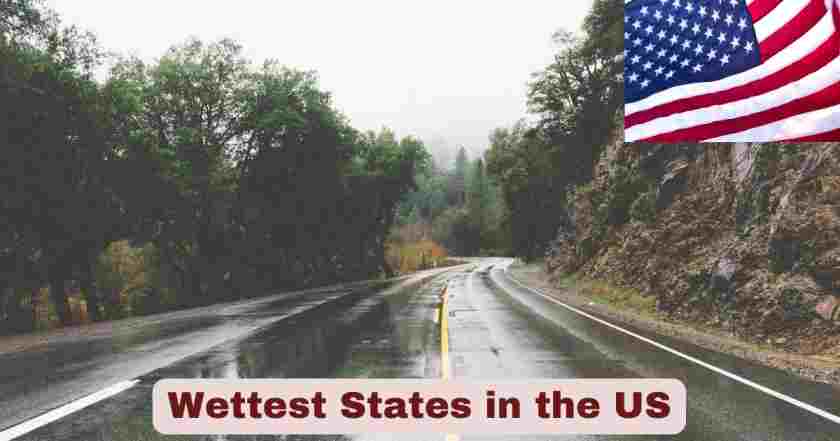 Wettest States in US 2025 | Top 20 Stats & Facts About Wettest States