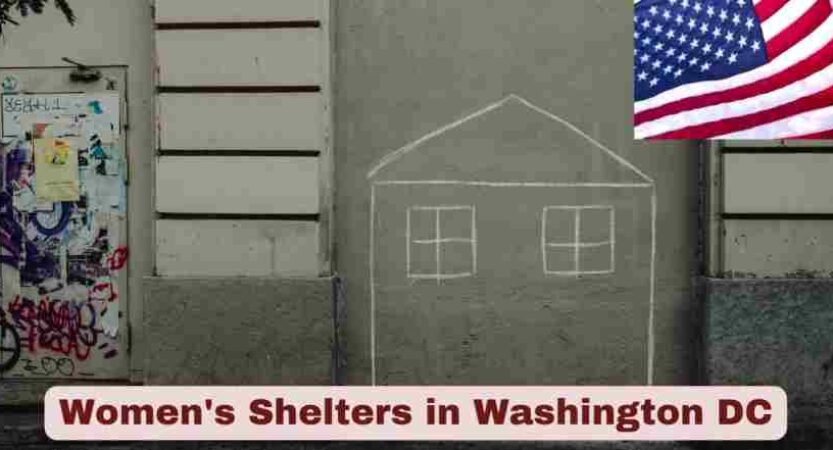 Women’s Shelters in Washington DC 2025 | Stats & Facts