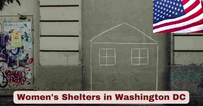 Women’s Shelters in Washington DC 2025 | Stats & Facts