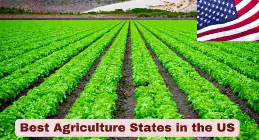 Best Agriculture States in the US 2025 | Stats & Facts
