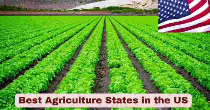 Best Agriculture States in the US 2025 | Stats & Facts