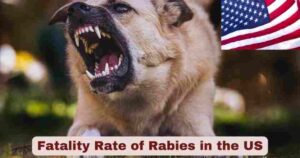 Fatality Rate of Rabies in the US 2025 | Statistics & Facts