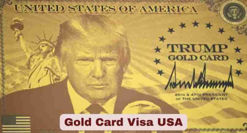 Gold Card Visa USA 2025 | Statistics & Facts
