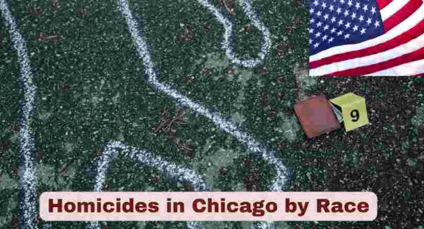 Homicides in Chicago by Race 2025 | Statistics & Facts