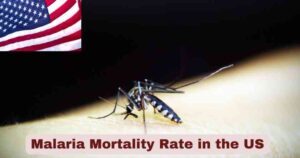 Malaria Mortality Rate in the US 2025 | Statistics & Facts