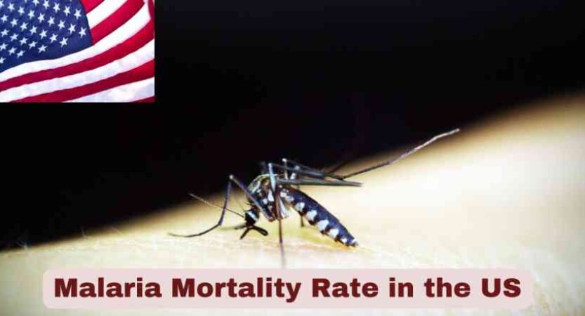 Malaria Mortality Rate in the US 2025 | Statistics & Facts