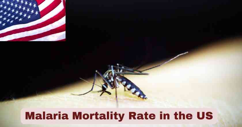 Malaria Mortality Rate in the US 2025 | Statistics & Facts