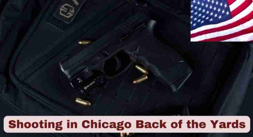Shooting in Chicago Back of the Yards 2025 | Latest Statistics & Facts