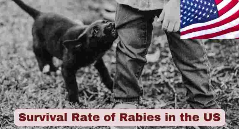 Survival Rate of Rabies in the US 2025 | Statistics & Facts