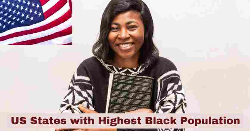 US States with Highest Black Population 2025 | Statistics & Facts