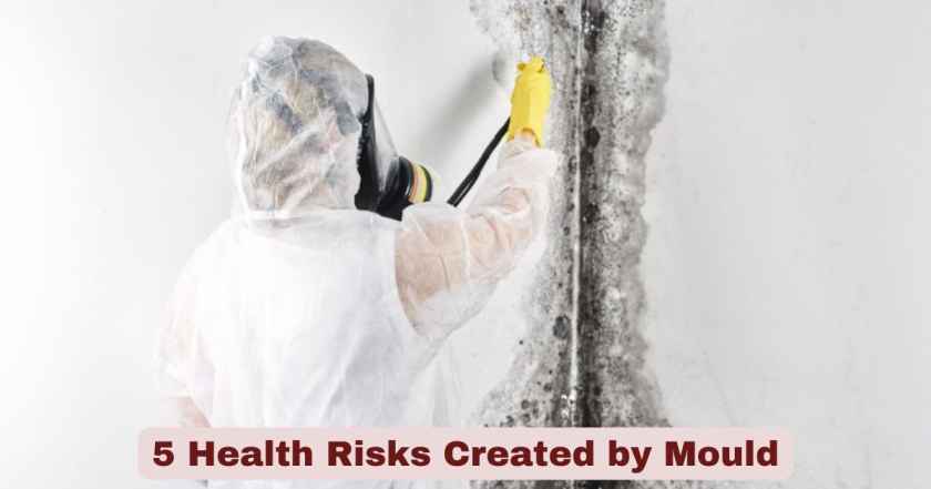 5 Health Risks Created by Mould: Understanding the Effects on Human Health