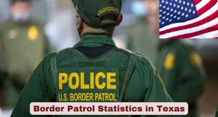 Border Patrol Statistics in Texas 2025 | Key Facts