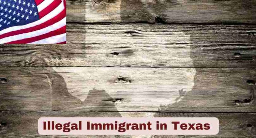 Illegal Immigrant in Texas 2025 | Statistics & Facts