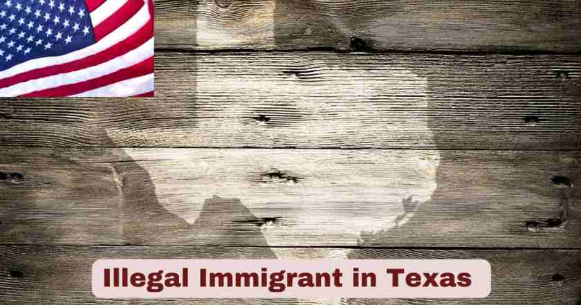 Illegal Immigrant in Texas 2025 | Statistics & Facts