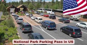 National Park Parking Pass in US 2025 | Statistics & Facts