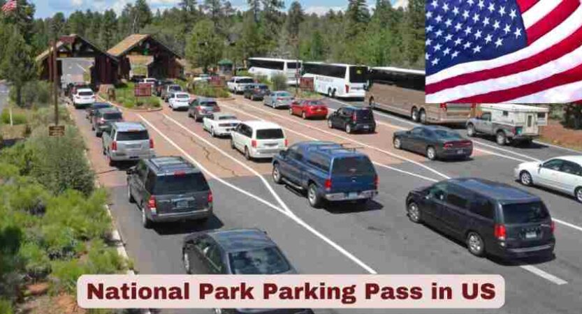 National Park Parking Pass in US 2025 | Statistics & Facts
