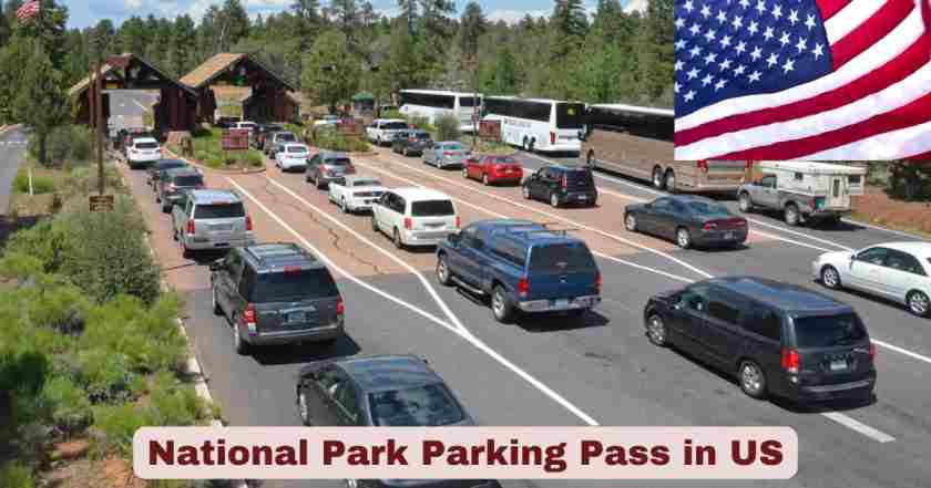 National Park Parking Pass in US 2025 | Statistics & Facts