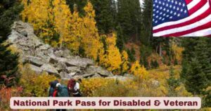 National Park Pass for Disabled & Veteran in US 2025 | Statistics & Facts