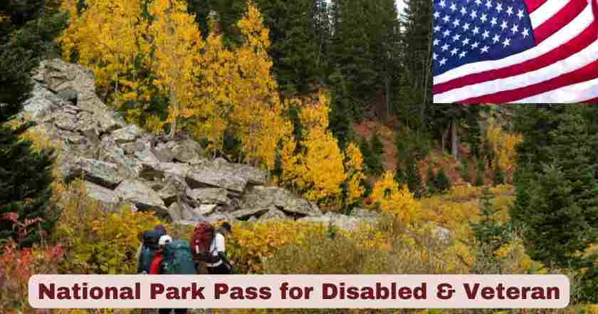 National Park Pass for Disabled & Veteran in US 2025 | Statistics & Facts