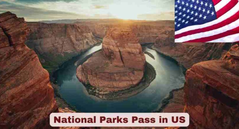 National Parks Pass in US 2025 | Statistics & Facts