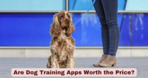 Are Dog Training Apps Worth the Price? A Practical Guide for New Dog Parents
