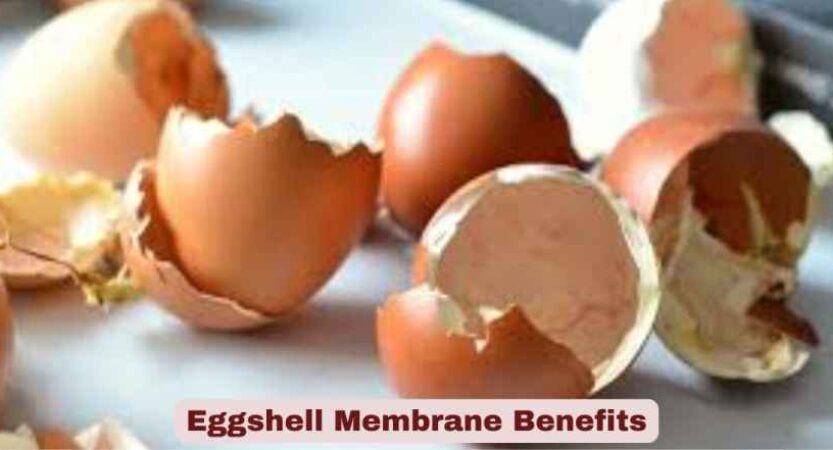 Top Eggshell Membrane Benefits 2025 | Key Facts