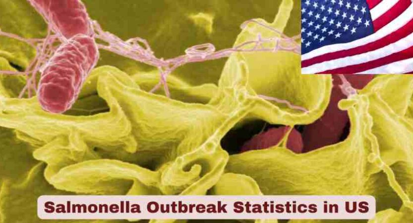 Salmonella Outbreak Statistics in US 2025 | Key Facts