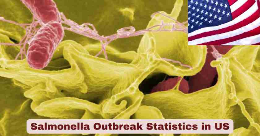 Salmonella Outbreak Statistics in US 2025 | Key Facts