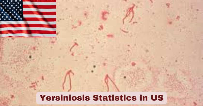 Yersiniosis Statistics in US 2025 | Key Facts