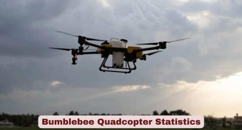 Bumblebee Quadcopter Statistics 2026 | Key Facts