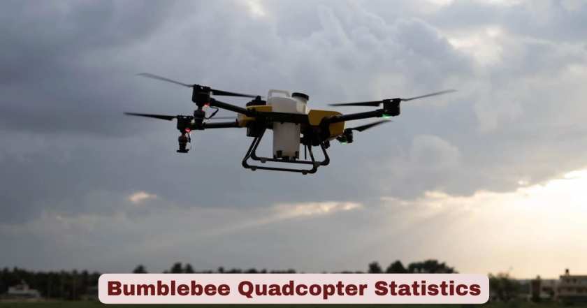 Bumblebee Quadcopter Statistics 2026 | Key Facts
