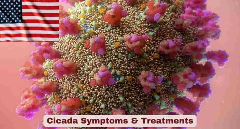 COVID Variant Cicada Symptoms & Treatments 2026