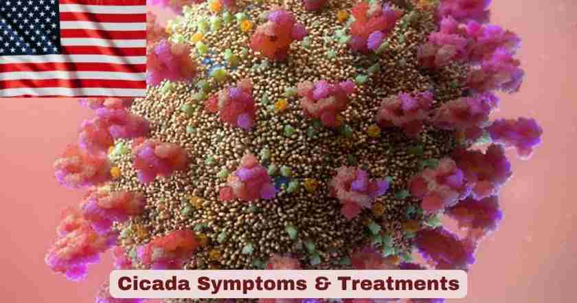 COVID Variant Cicada Symptoms & Treatments 2026