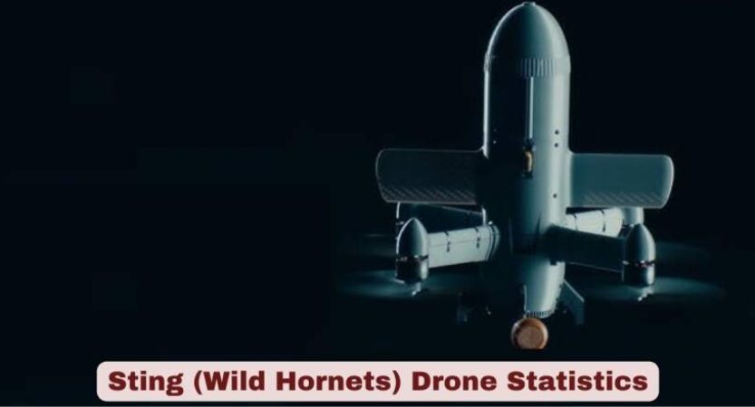 Sting (Wild Hornets) Drone Statistics 2026 | Key Facts