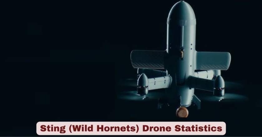 Sting (Wild Hornets) Drone Statistics 2026 | Key Facts