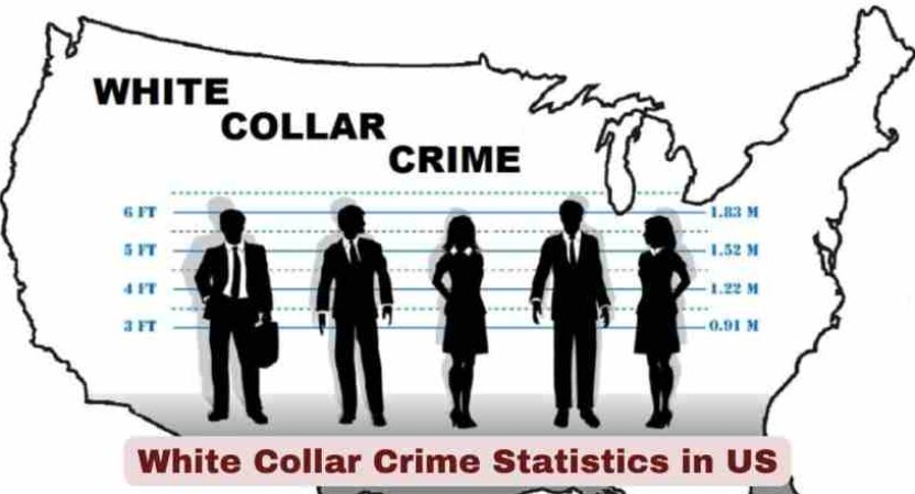 White Collar Crime Statistics in US 2026 | Cases, Losses & Key Facts