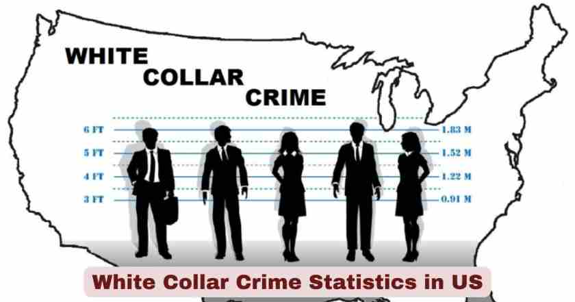 White Collar Crime Statistics in US 2026 | Cases, Losses & Key Facts