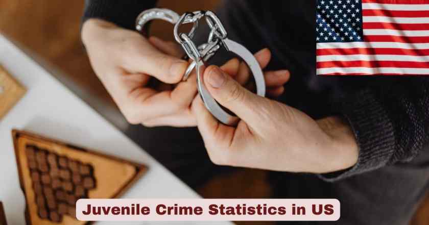 Juvenile Crime Statistics in US 2026 | Trends, Demographics & Key Stats