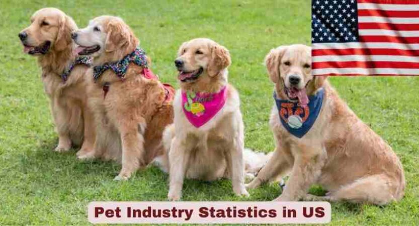 Pet Industry Statistics in US 2026 | Key Facts