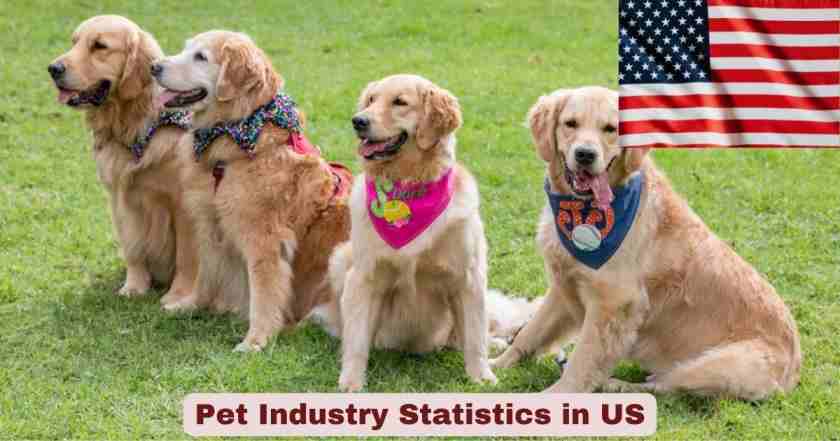 Pet Industry Statistics in US 2026 | Key Facts