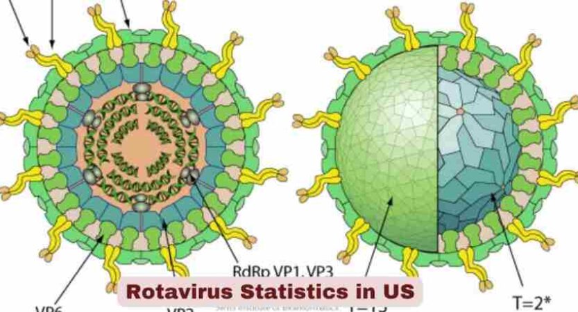 Rotavirus Statistics in US 2026 | Symptoms & Vaccination