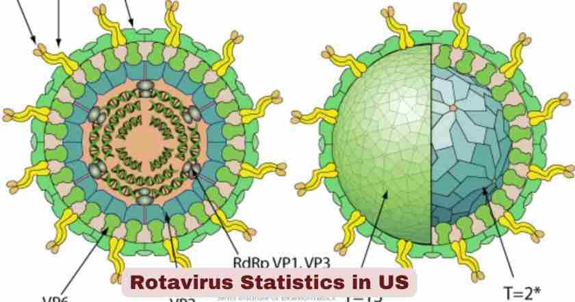 Rotavirus Statistics in US 2026 | Symptoms & Vaccination