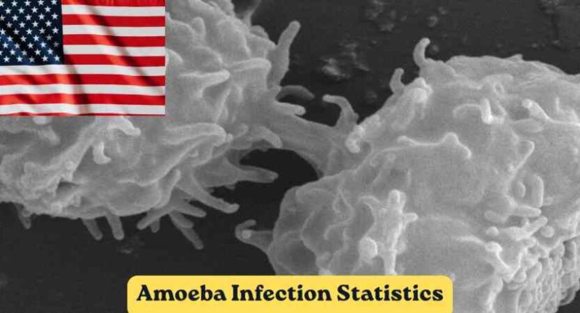 Amoeba Infection Statistics 2026 | Water Systems, Cases & Facts