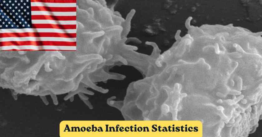 Amoeba Infection Statistics 2026 | Water Systems, Cases & Facts