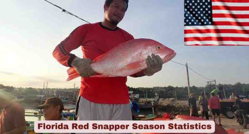 Florida Red Snapper Season Statistics 2026 | Dates, Facts
